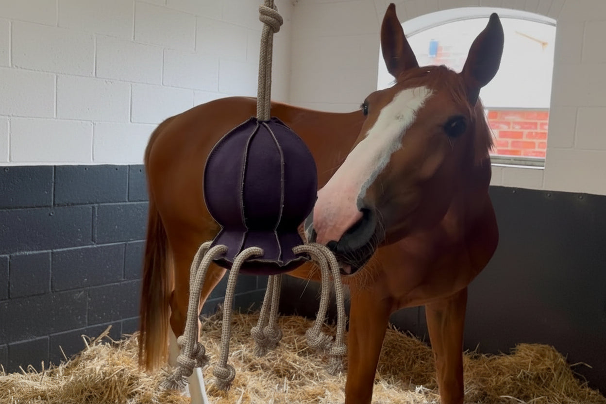 Horse Toy- Ollie Octopus