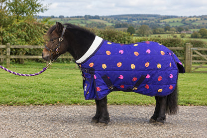 Shetland-Miniature-Donkey 200g Stable Rug - Purple Ladybird Print