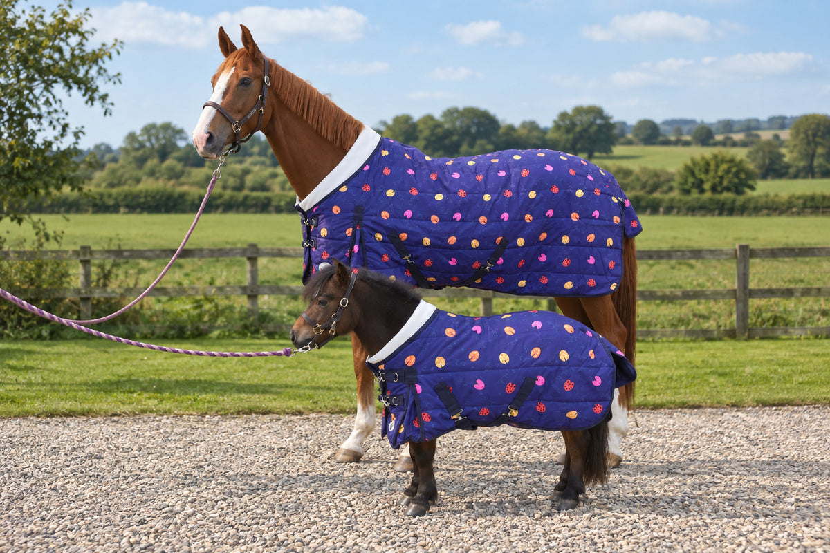 Shetland-Miniature-Donkey 200g Stable Rug - Purple Ladybird Print