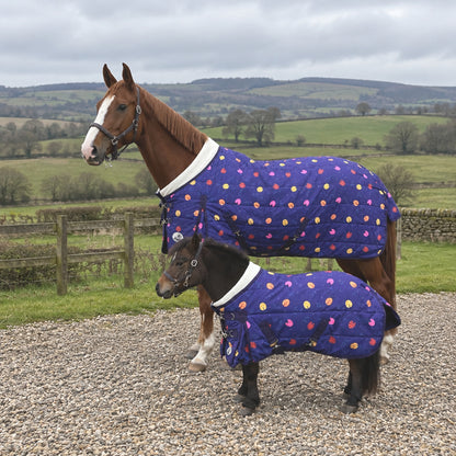 200g Lightweight Stable Rug With Fleece Collar - Purple Ladybird Print