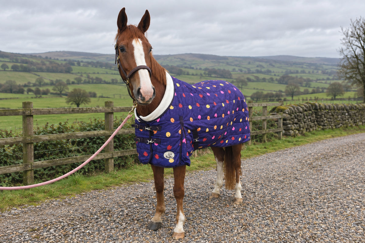 200g Lightweight Stable Rug With Fleece Collar - Purple Ladybird Print