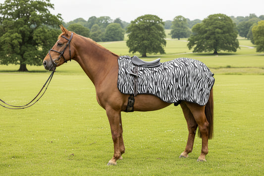 Mesh Fly Exercise Sheet with Hole