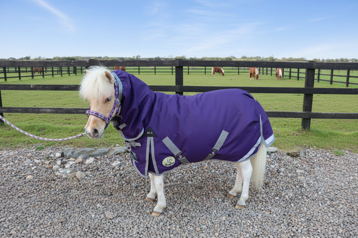 Shetland-Miniature-Donkey-Section A 100g Combo Turnout Rug