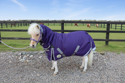 Shetland-Miniature-Donkey-Section A 100g Combo Turnout Rug