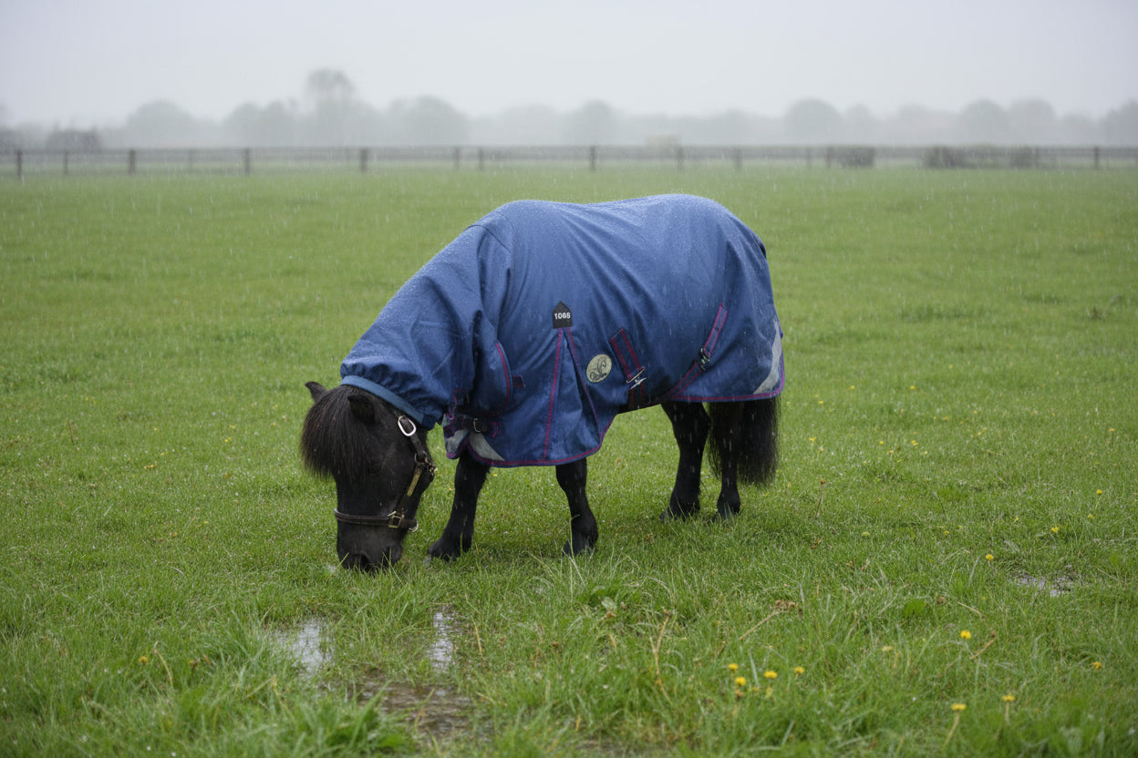 Shetland-Miniature-Donkey-Section A 100g Combo Turnout Rug