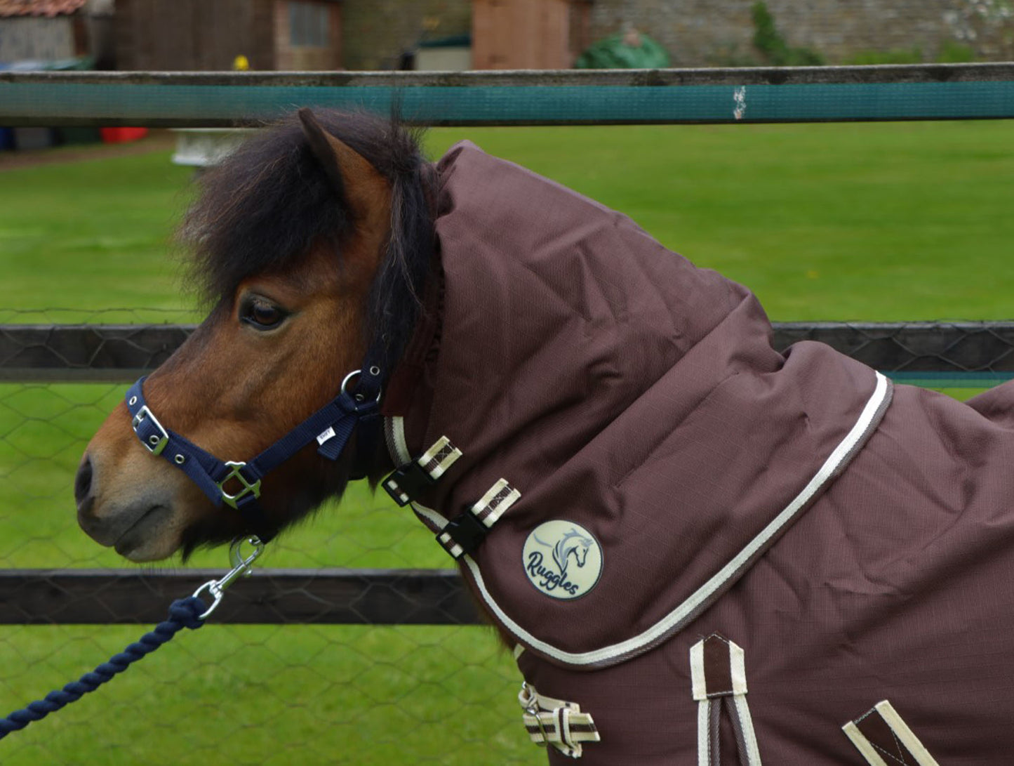 Shetland-Miniature-Donkey-Section A 100g V2 Neck Cover Only (Matching Rug Available Separately) - Clearance