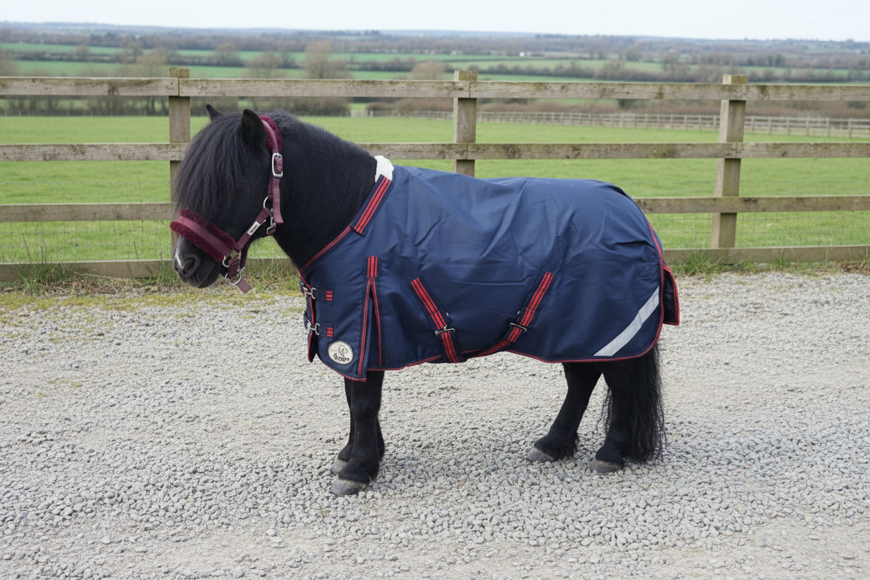 Shetland-Miniature-Donkey-Section A 100g V2 Turnout Rug