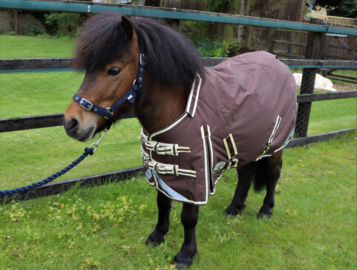 Shetland-Miniature-Donkey-Section A 100g V2 Turnout Rug - Clearance