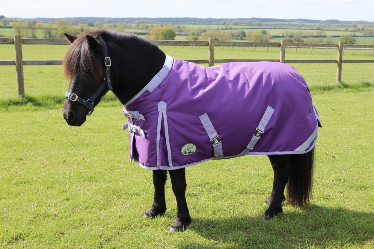 Shetland-Miniature-Donkey-Section A 50g V2 Turnout Rug
