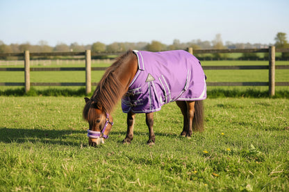 Shetland-Miniature-Donkey-Section A 50g V2 Turnout Rug