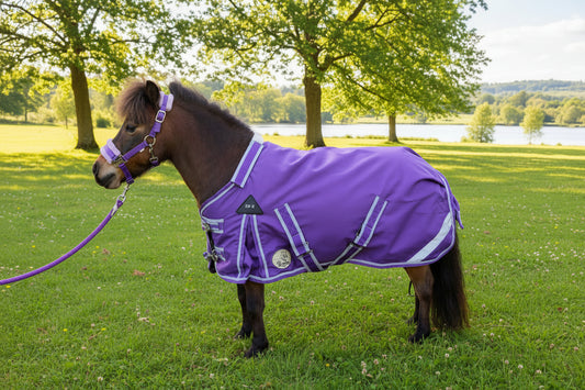 Shetland-Miniature-Donkey-Section A 50g V2 Turnout Rug