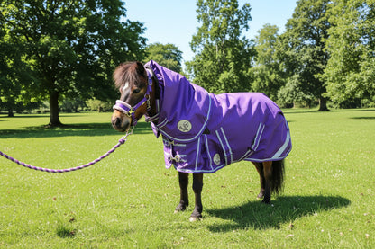 Shetland-Miniature-Donkey-Section A 50g V2 Turnout Rug
