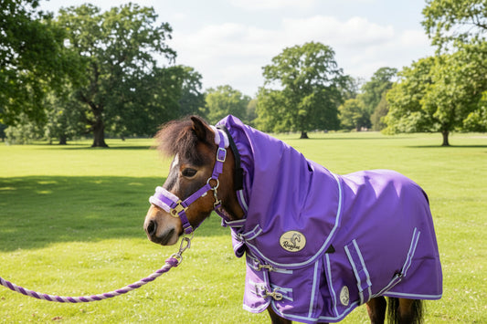 Shetland-Miniature-Donkey 50g V2 Neck Cover Only (Matching Rug Available Separately)