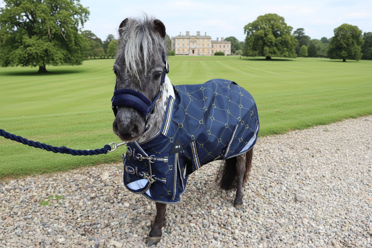 Shetland-Miniature-Donkey-Section A 70g Turnout Rug