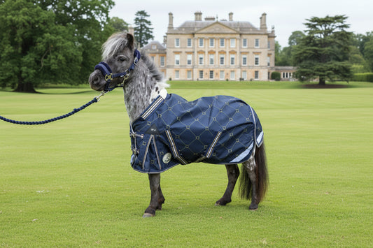Shetland-Miniature-Donkey-Section A 70g Turnout Rug