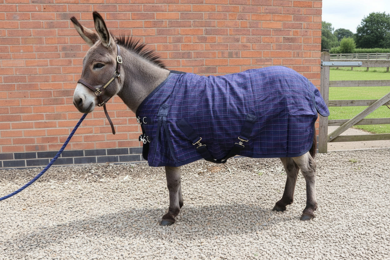 Shetland-Miniature-Donkey Cotton Sheet