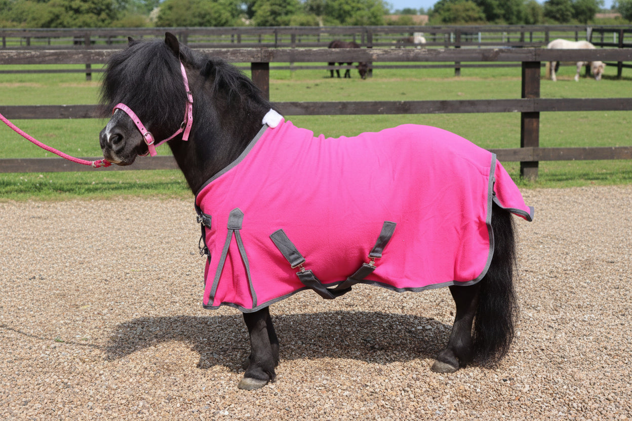 Shetland-Miniature-Donkey-Section A Polar Fleece Rug