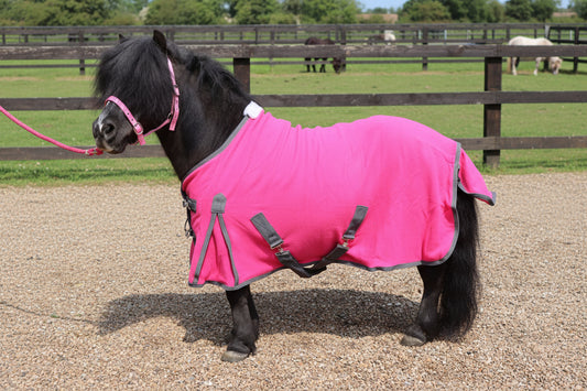 Shetland-Miniature-Donkey-Section A Polar Fleece Rug