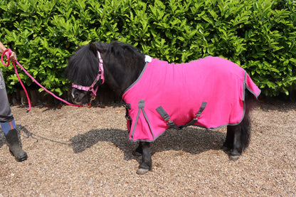 Shetland-Miniature-Donkey-Section A Polar Fleece Rug