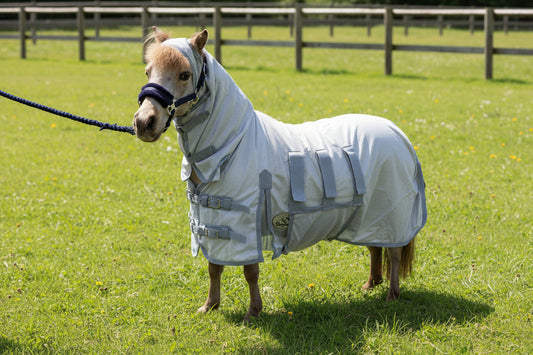 Shetland-Miniature Lightweight Combo Fly Rug  With Ear Holes (160g mesh)
