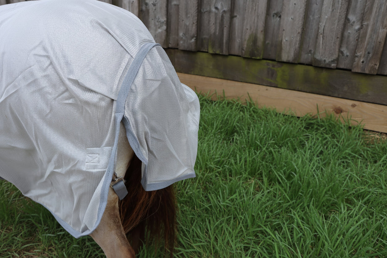 Shetland-Miniature Lightweight Combo Fly Rug  With Ear Holes (160g mesh)