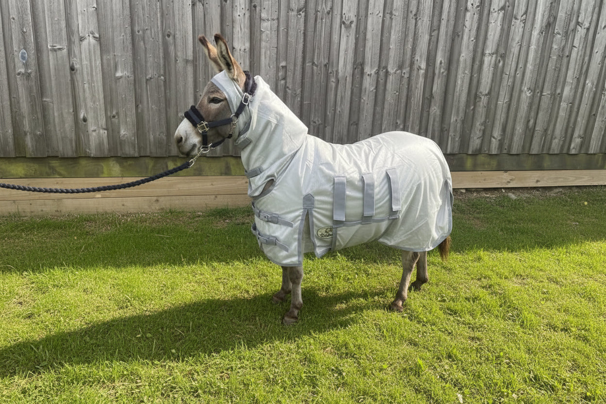 Shetland-Miniature Lightweight Combo Fly Rug  With Ear Holes (160g mesh)