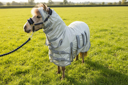 Shetland-Miniature Lightweight Combo Fly Rug  With Ear Holes (160g mesh)