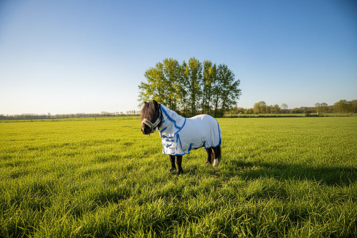 Shetland-Miniature-Donkey Fly Rug & Neck