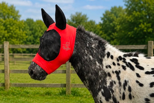 Shetland-Miniature-Section A Pull On Fly Mask With Ears