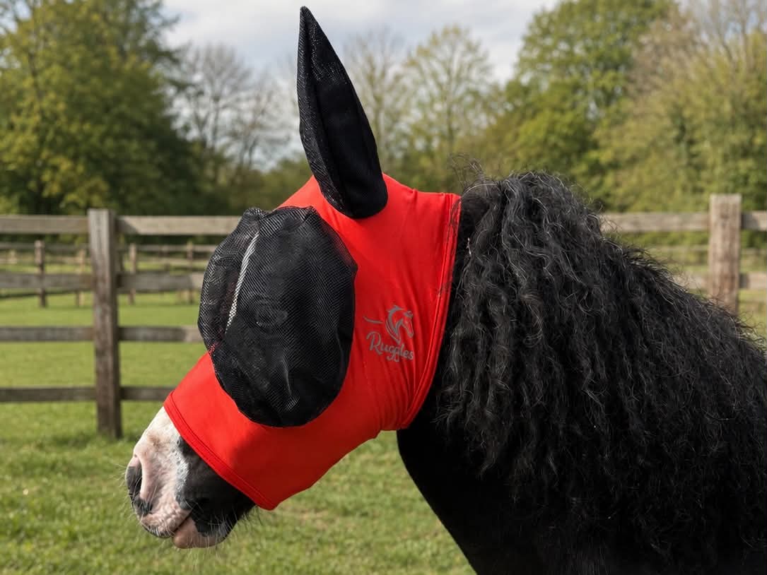 Shetland-Miniature-Section A Pull On Fly Mask With Ears