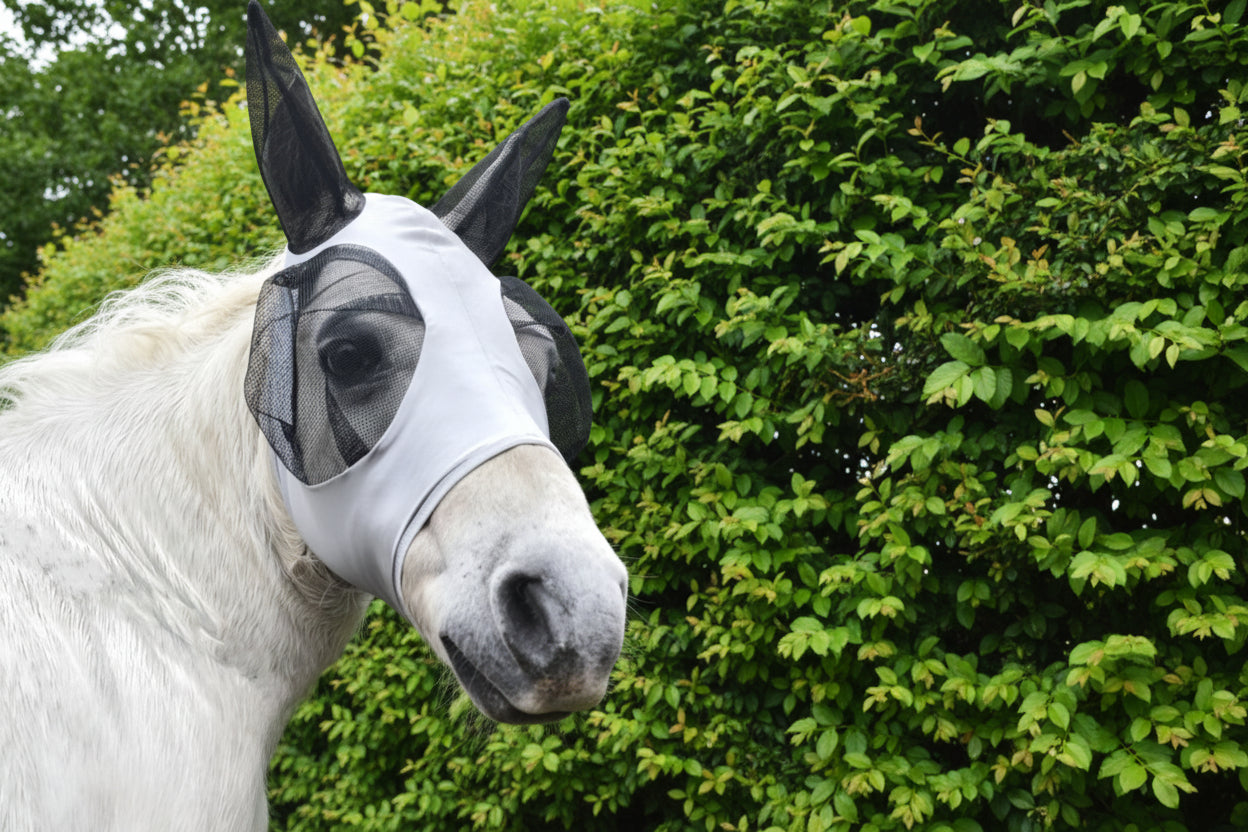 Shetland-Miniature-Section A Pull On Fly Mask With Ears