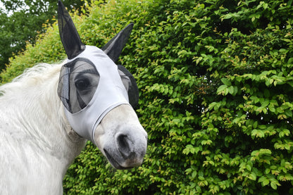 Shetland-Miniature-Section A Pull On Fly Mask With Ears