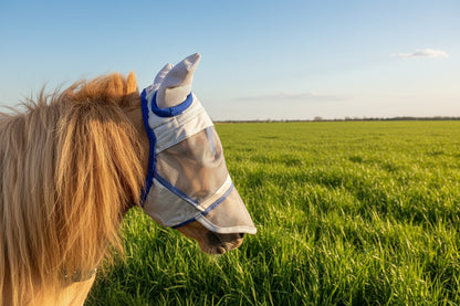 Shetland-Miniature-Section A Fly Mask