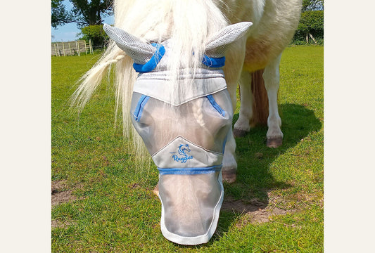 Shetland-Miniature-Section A Fly Mask