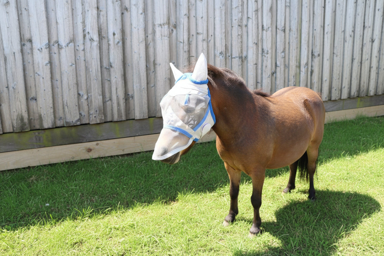 Shetland-Miniature-Section A Fly Mask