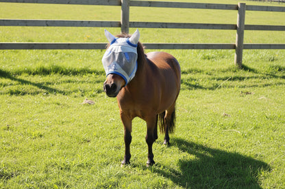 Shetland-Miniature-Section A Fly Mask