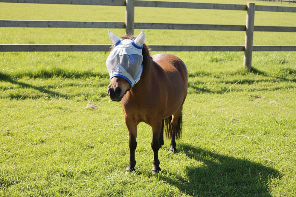 Two Shop Soiled Mini Mesh Fly Masks One With A Nose Guard And One Without
