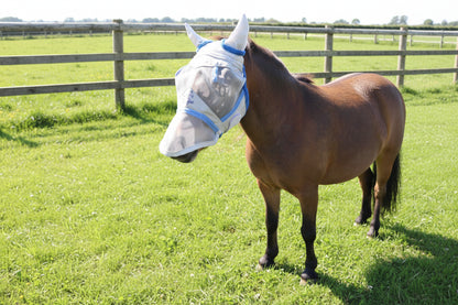 Shetland-Miniature-Section A Fly Mask