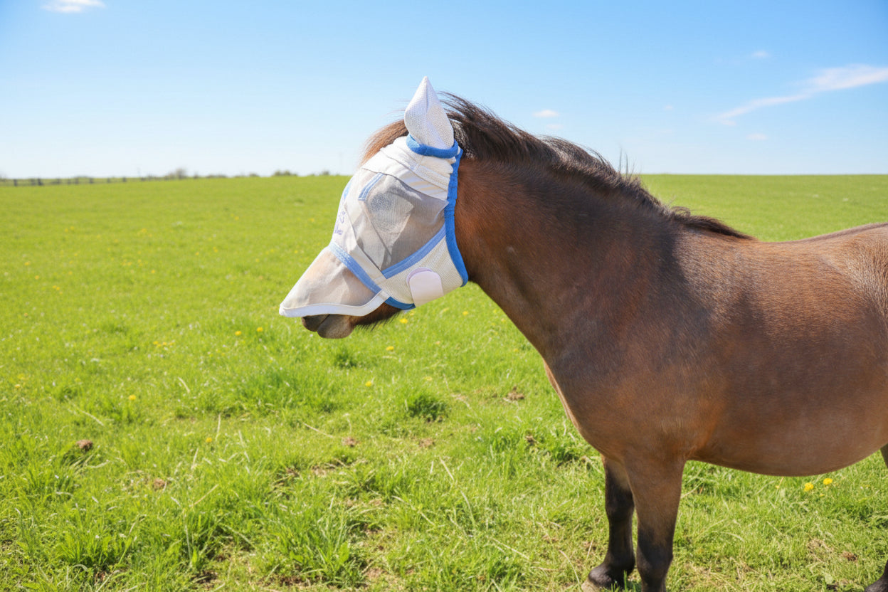 Shetland-Miniature-Section A Fly Mask