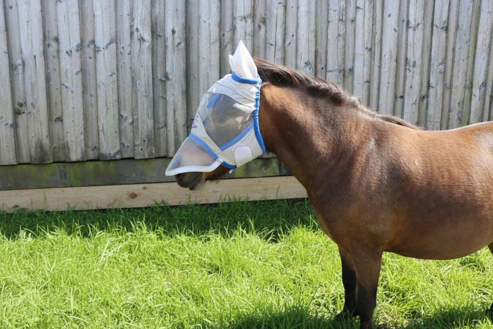 Two Shop Soiled Mini Mesh Fly Masks With Nose Guard
