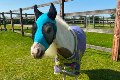 Shetland-Miniature-Section A Pull On Fly Mask With Ears