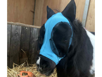 Shetland-Miniature-Section A Pull On Fly Mask With Ears