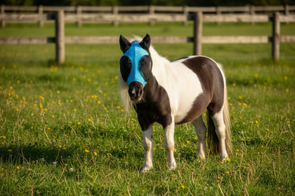 Shetland-Miniature-Section A Pull On Fly Mask With Ears