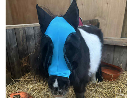Shetland-Miniature-Section A Pull On Fly Mask With Ears