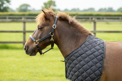 Shetland Quilted Anti Rub Bib - Shoulder Guard