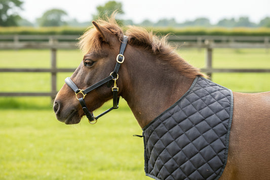 Shetland Quilted Anti Rub Bib - Shoulder Guard