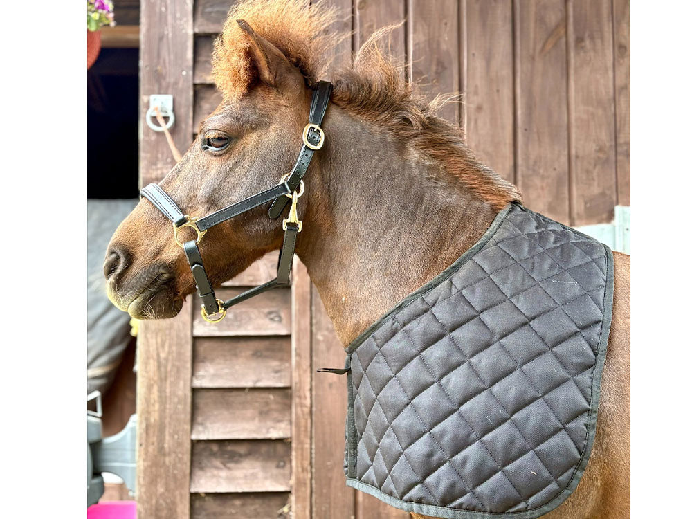 Shetland Quilted Anti Rub Bib - Shoulder Guard