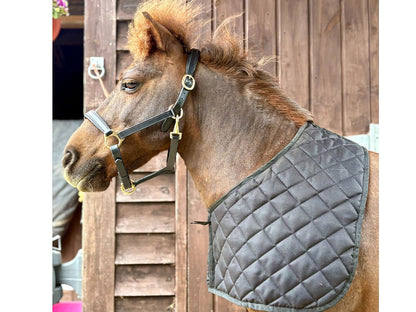 Shetland Quilted Anti Rub Bib - Shoulder Guard