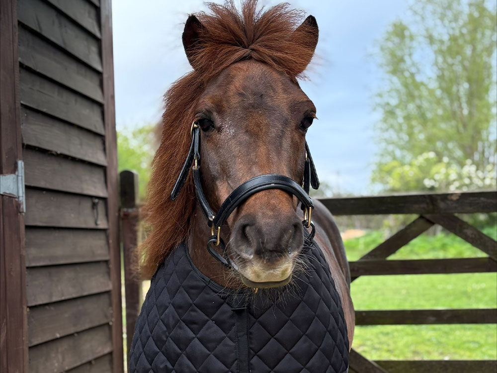 Shetland Quilted Anti Rub Bib - Shoulder Guard