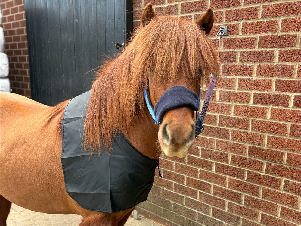 Shetland Satin Anti Rub Bib - Shoulder Guard